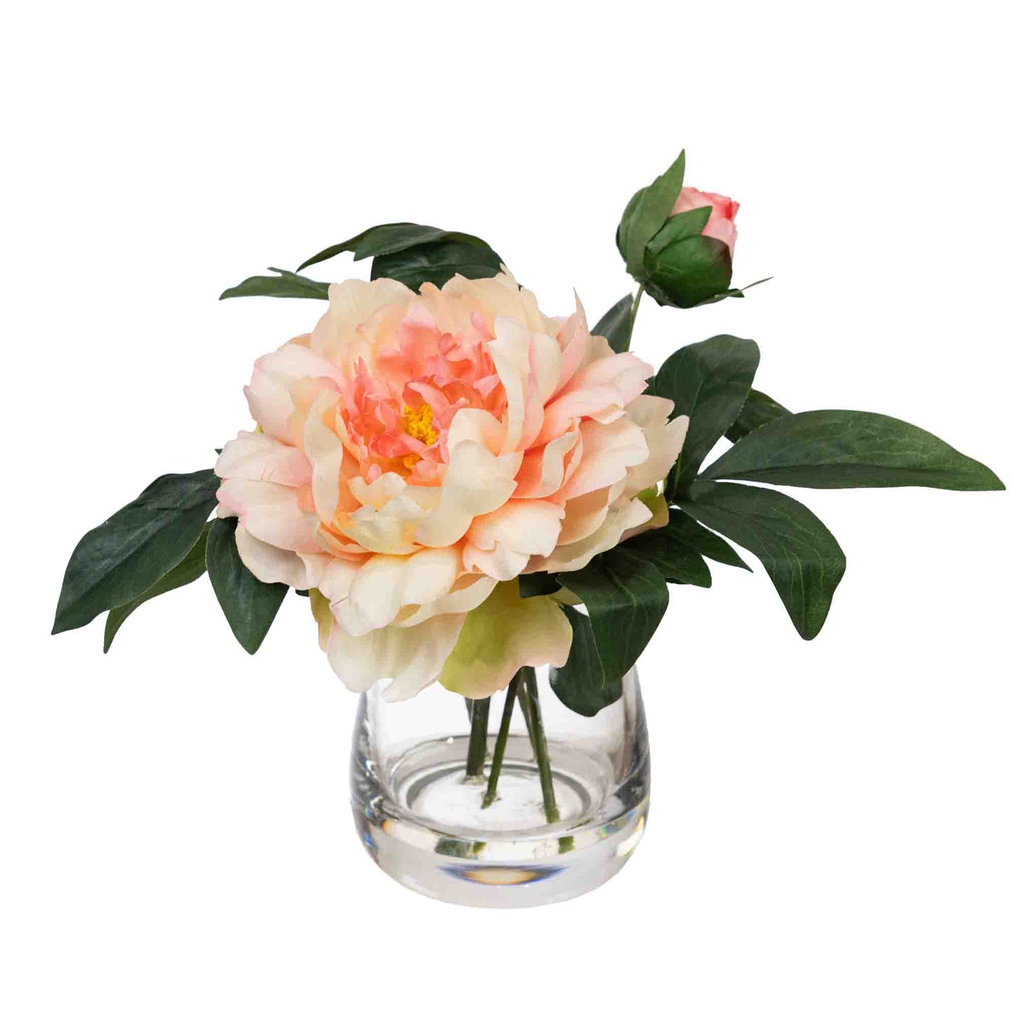 Glamorous Fusion 22cm Peony & Orchid Mixed Arrangement in Glass Vase - Artificial Flower Arrangements and Artificial Plants