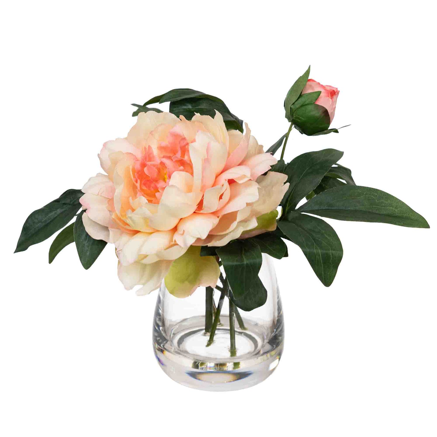 Glamorous Fusion 22cm Peony & Orchid Mixed Arrangement in Glass Vase - Artificial Flower Arrangements and Artificial Plants