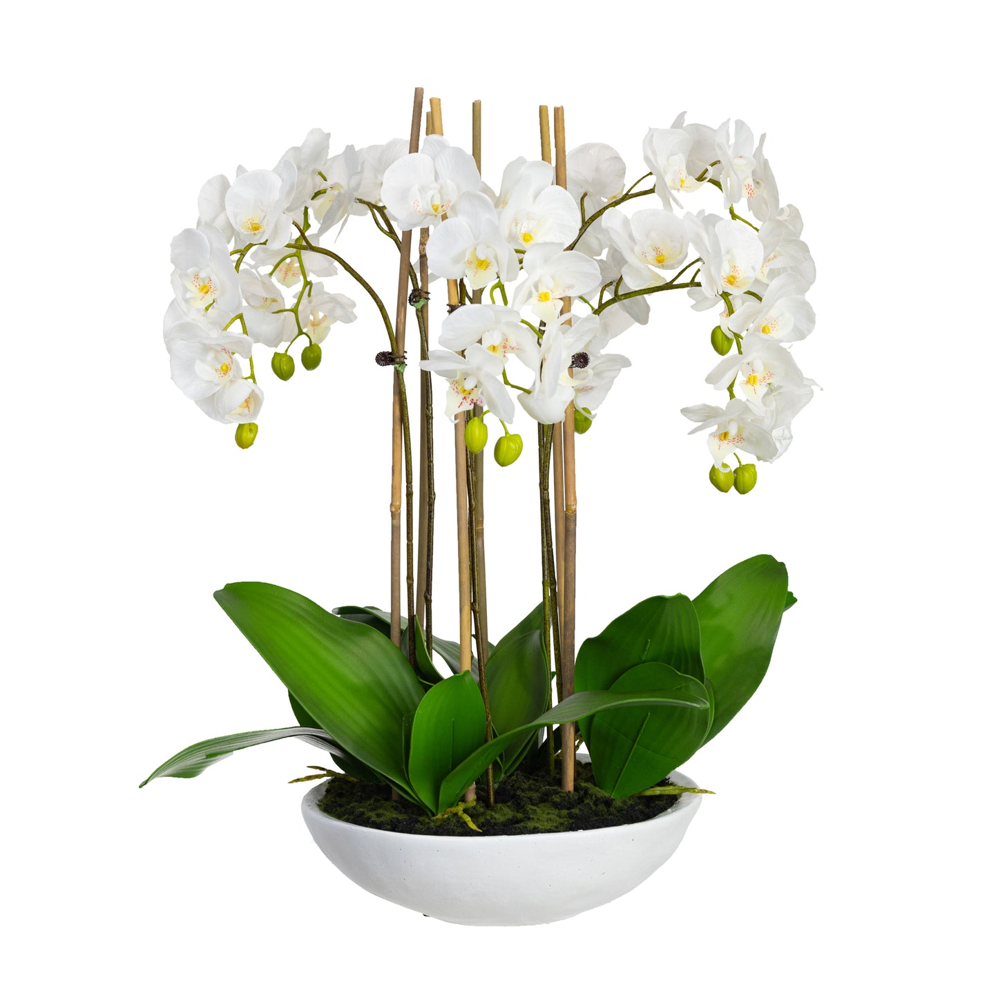 65cm Artificial Giant Phalaenopsis Orchid in Bowl