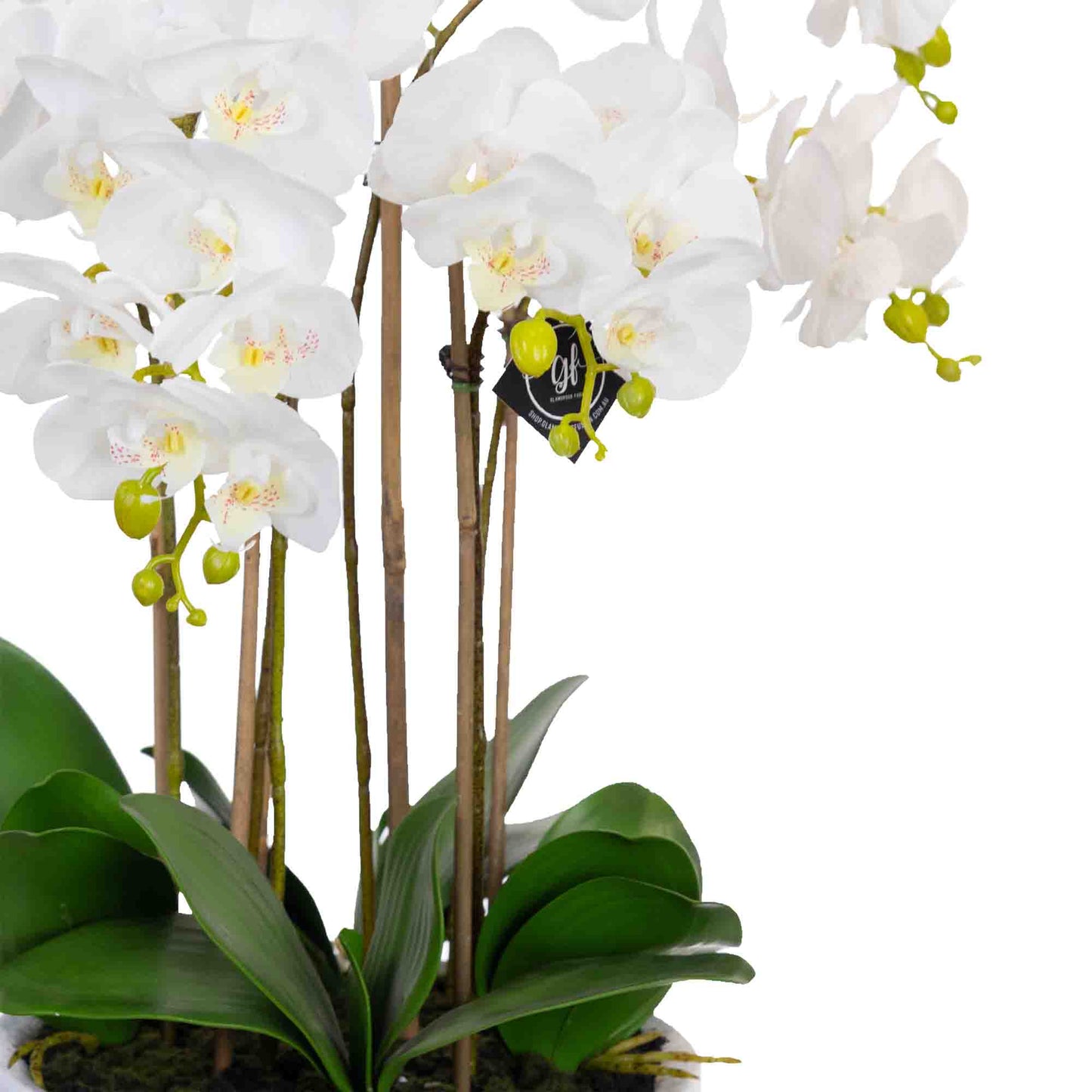 55cm Artificial Phalaenopsis Orchid in White Pot