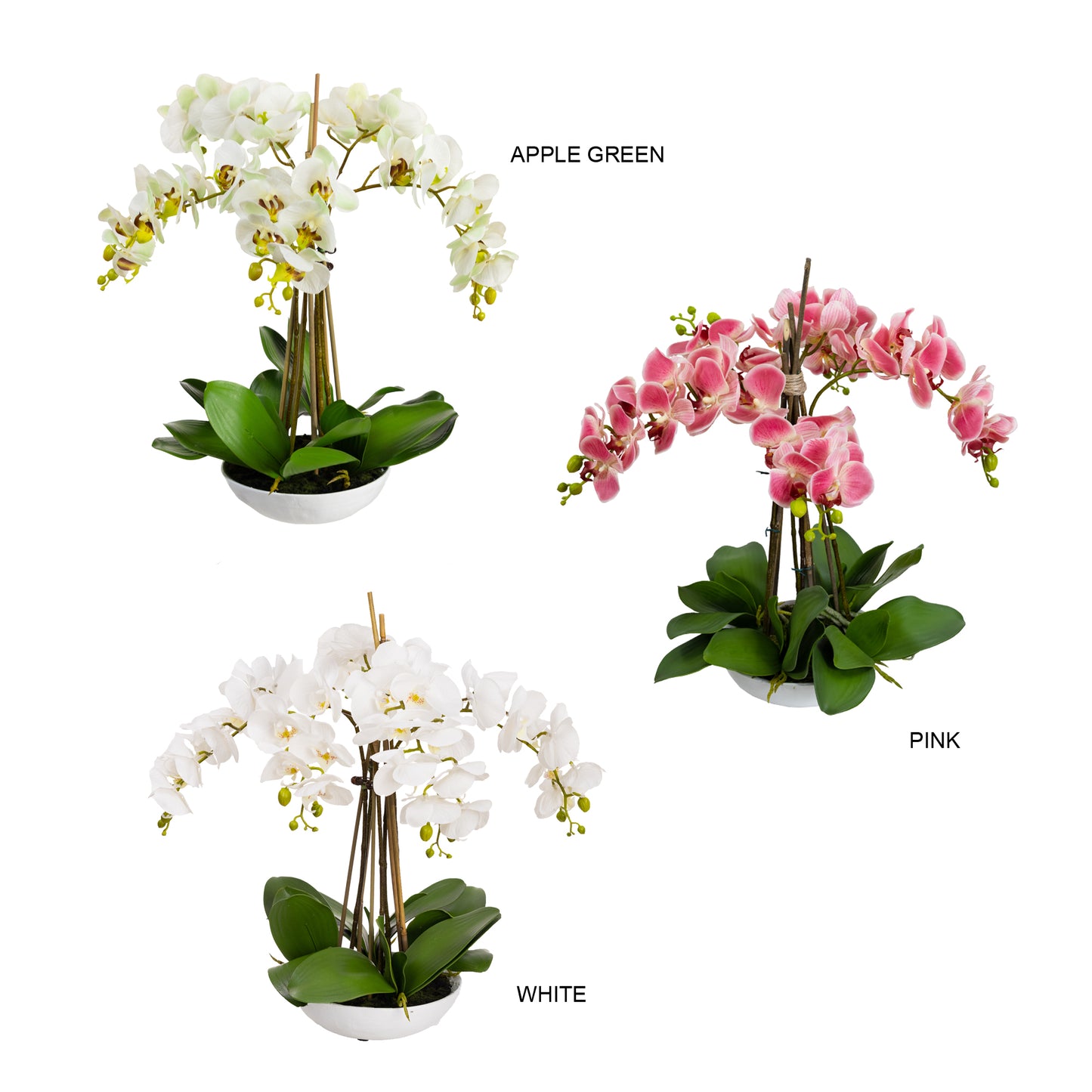 45cm Artificial Phalaenopsis Orchid in White Bowl White