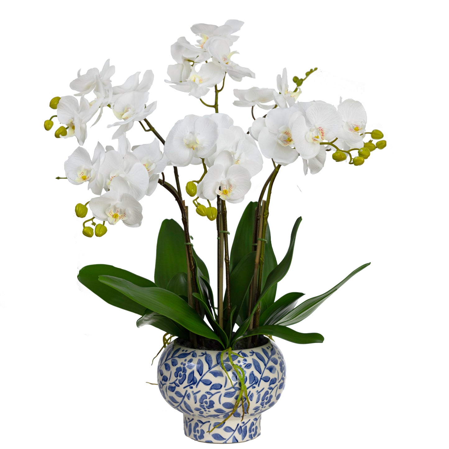 72CM ORCHID IN HAMPTON BOWL