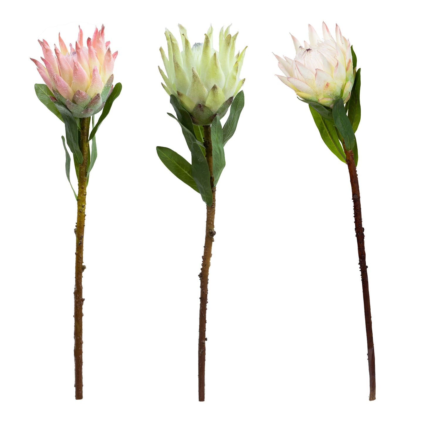 72cm Artificial Queen Protea Green