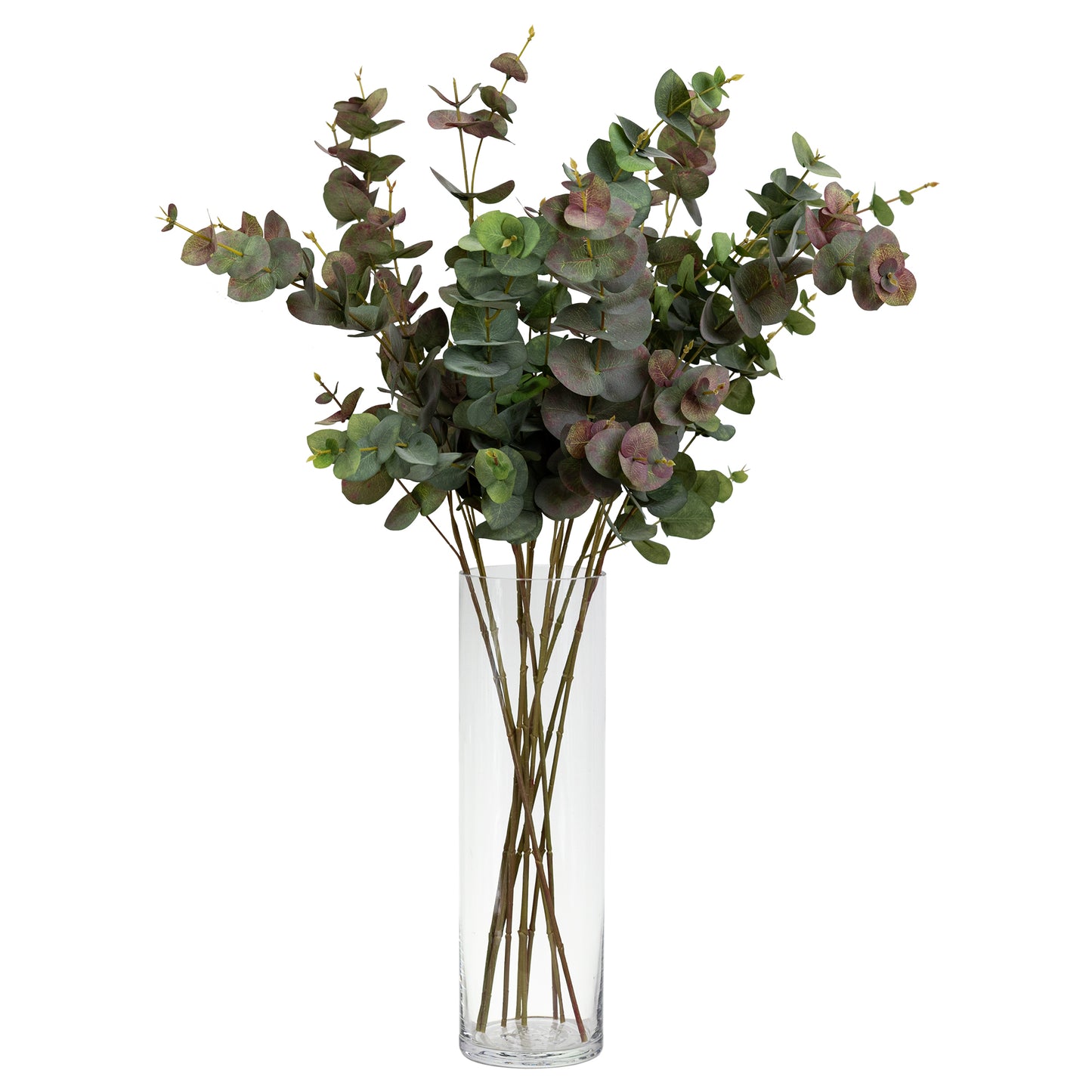 80CM EUCALYPTUS SPRAY