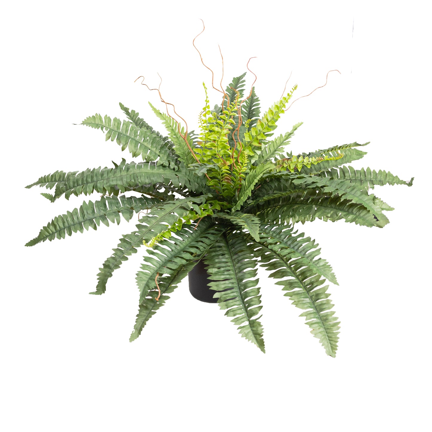 Glamorous Fusion Medium Potted Boston Fern - Artificial Flower Arrangements and Artificial Plants