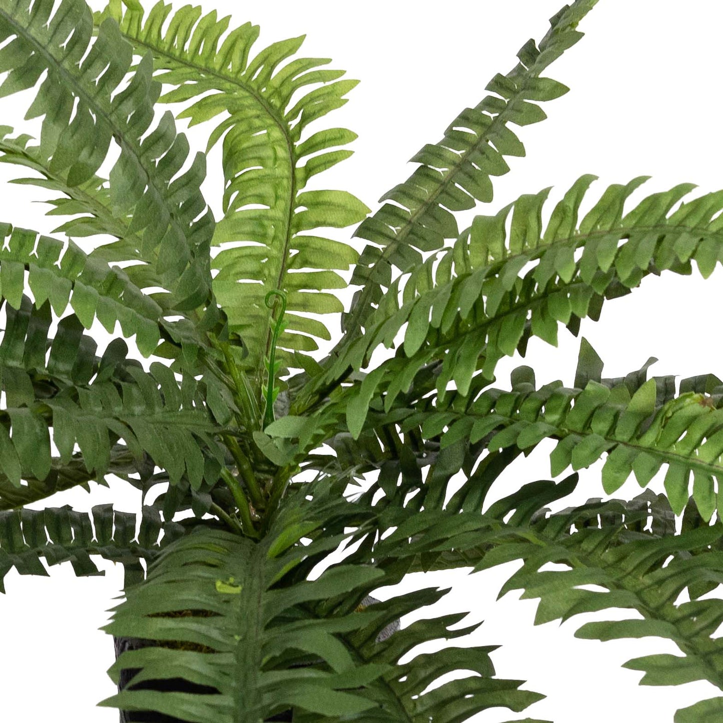 Glamorous Fusion Small Potted Boston Fern - Artificial Flower Arrangements and Artificial Plants
