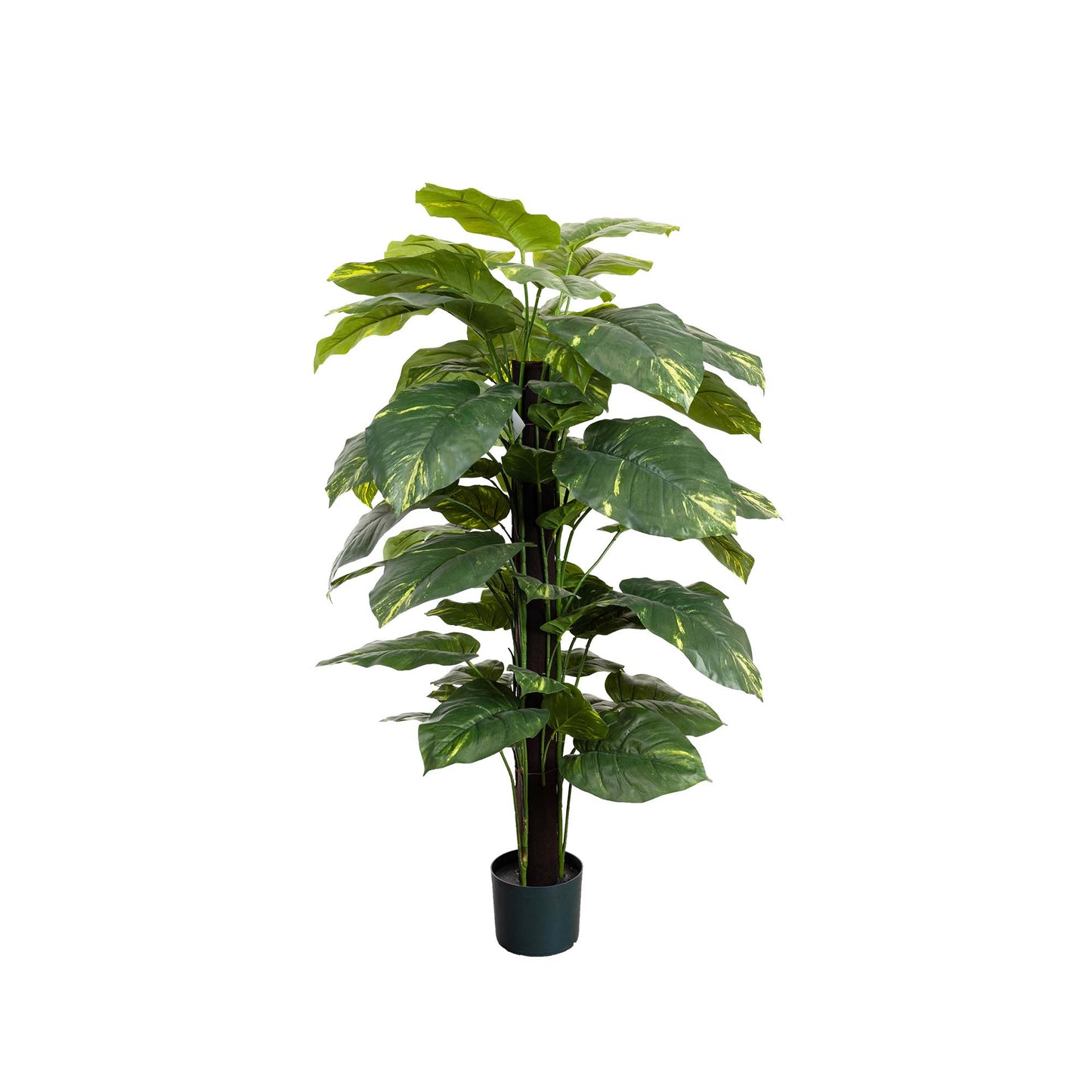 Glamorous Fusion 137cm Pothos on Pole - Artificial Flower Arrangements and Artificial Plants