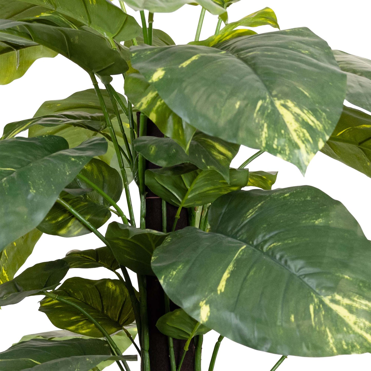Glamorous Fusion 137cm Pothos on Pole - Artificial Flower Arrangements and Artificial Plants