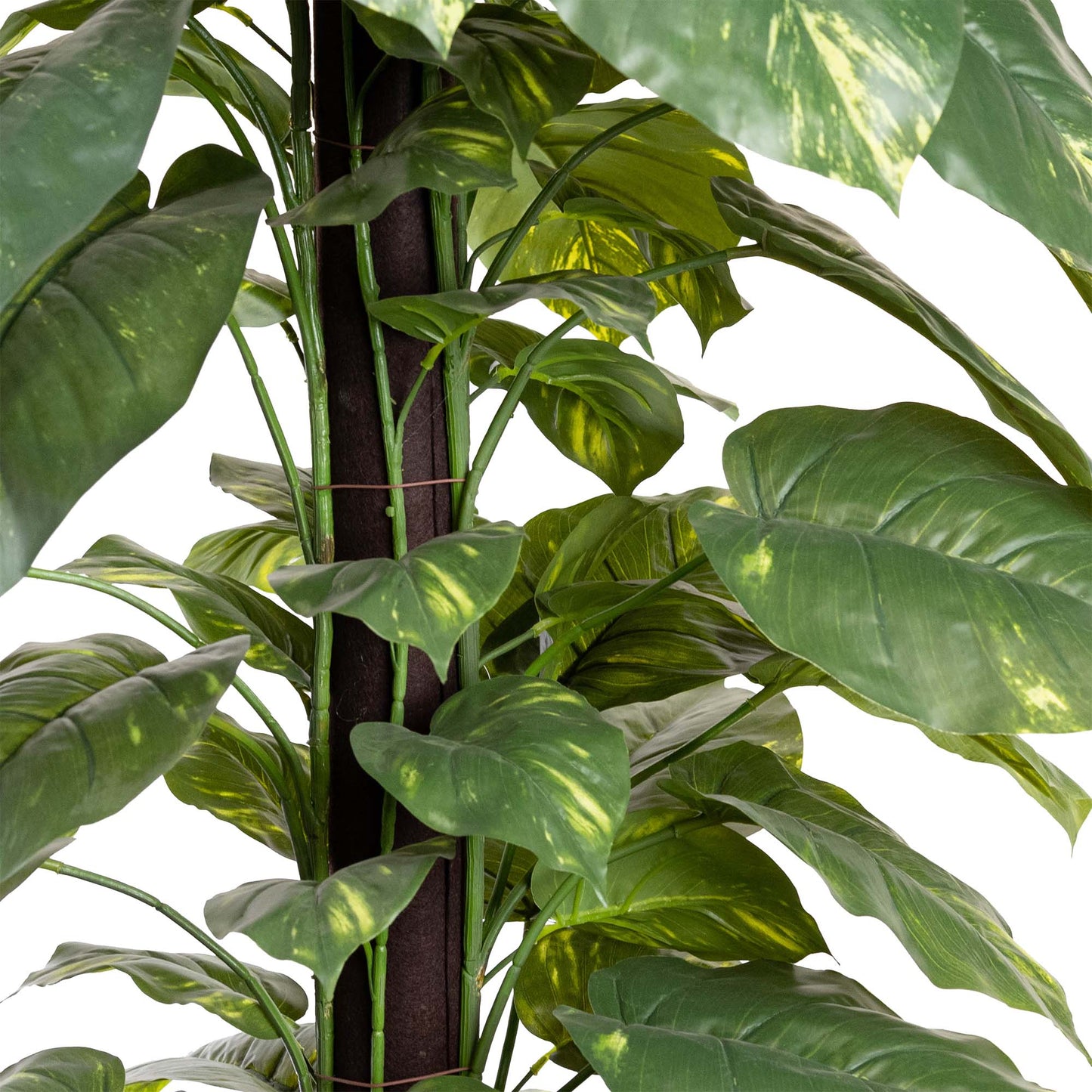 168cm Artificial Pothos on Pole