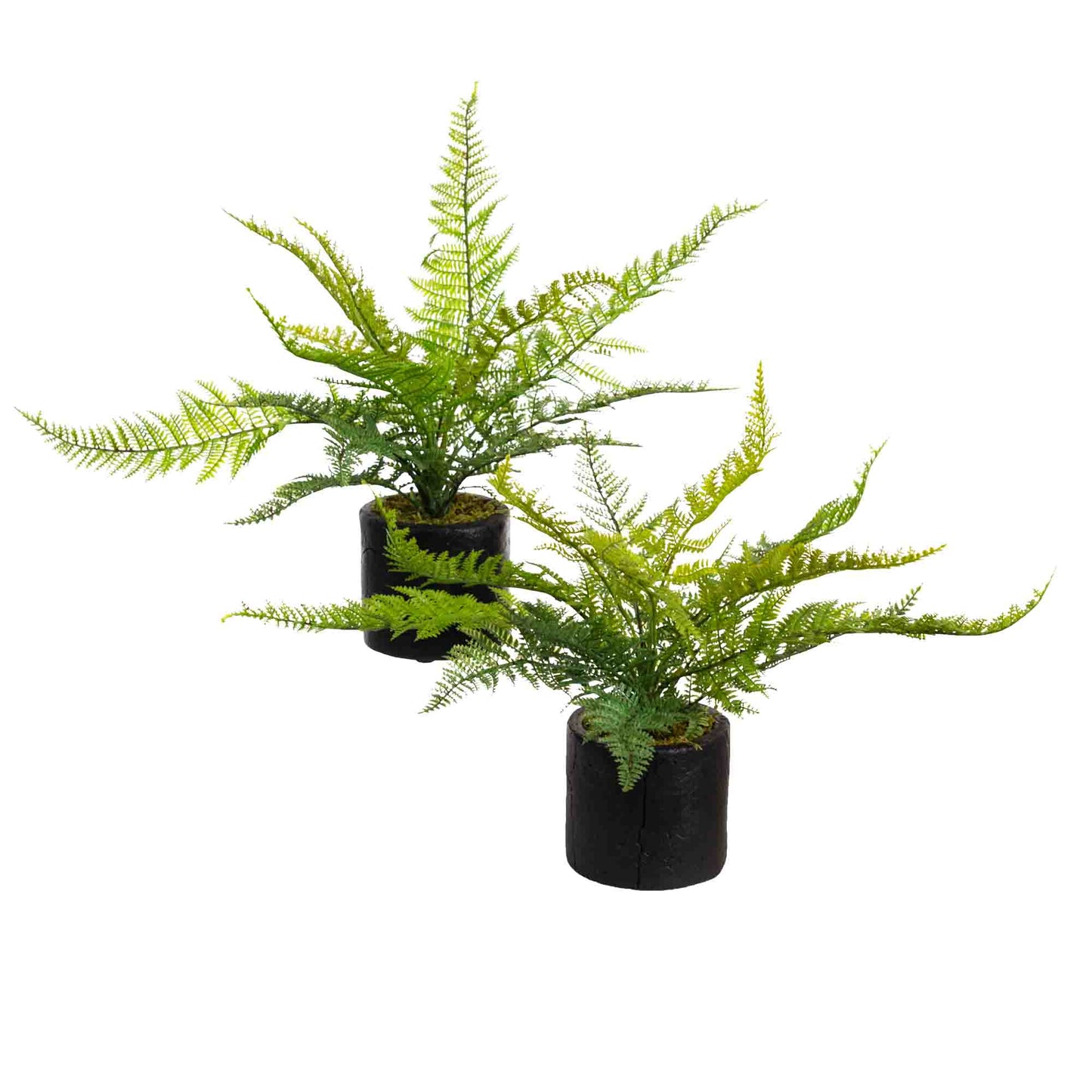 Glamorous Fusion Leather Fern Set of 2 - Artificial Flower Arrangements and Artificial Plants