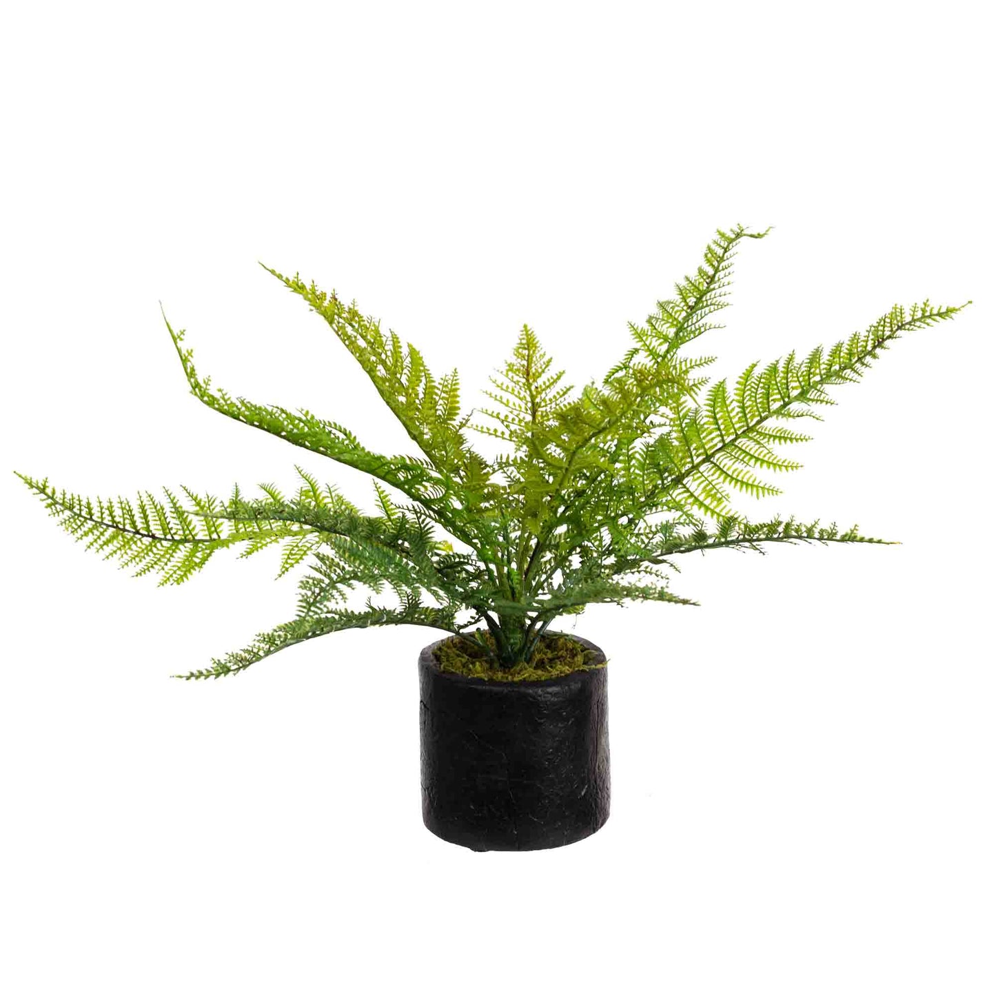 Glamorous Fusion Leather Fern Set of 2 - Artificial Flower Arrangements and Artificial Plants