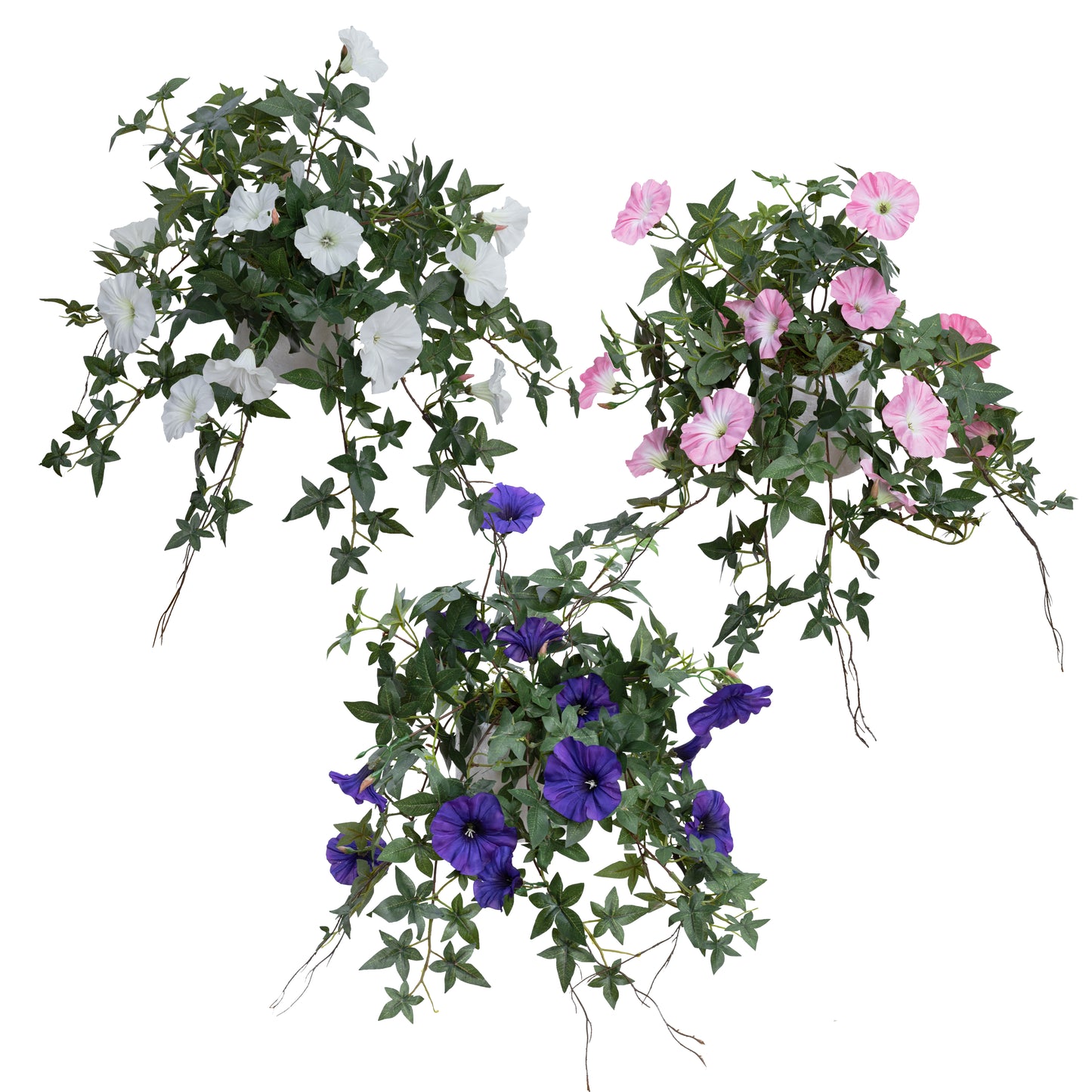 Glamorous Fusion Morning Glory in Pot - Artificial Flower Arrangements and Artificial Plants