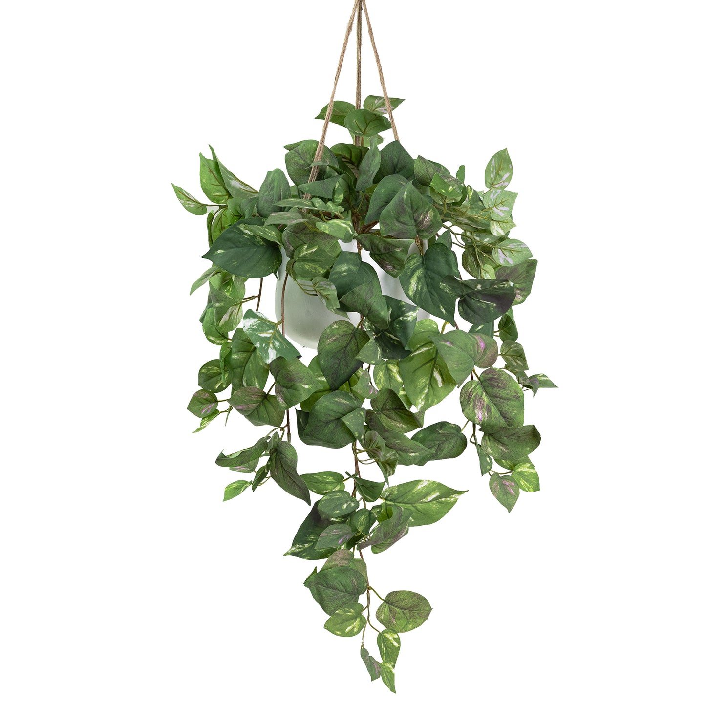 Glamorous Fusion Pothos in Hanging Pot - Artificial Flower Arrangements and Artificial Plants