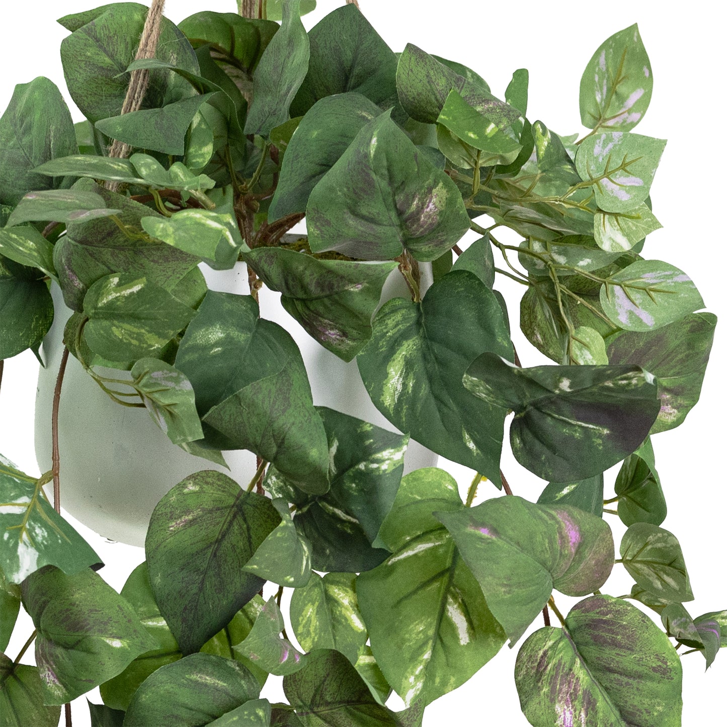 Glamorous Fusion Pothos in Hanging Pot - Artificial Flower Arrangements and Artificial Plants