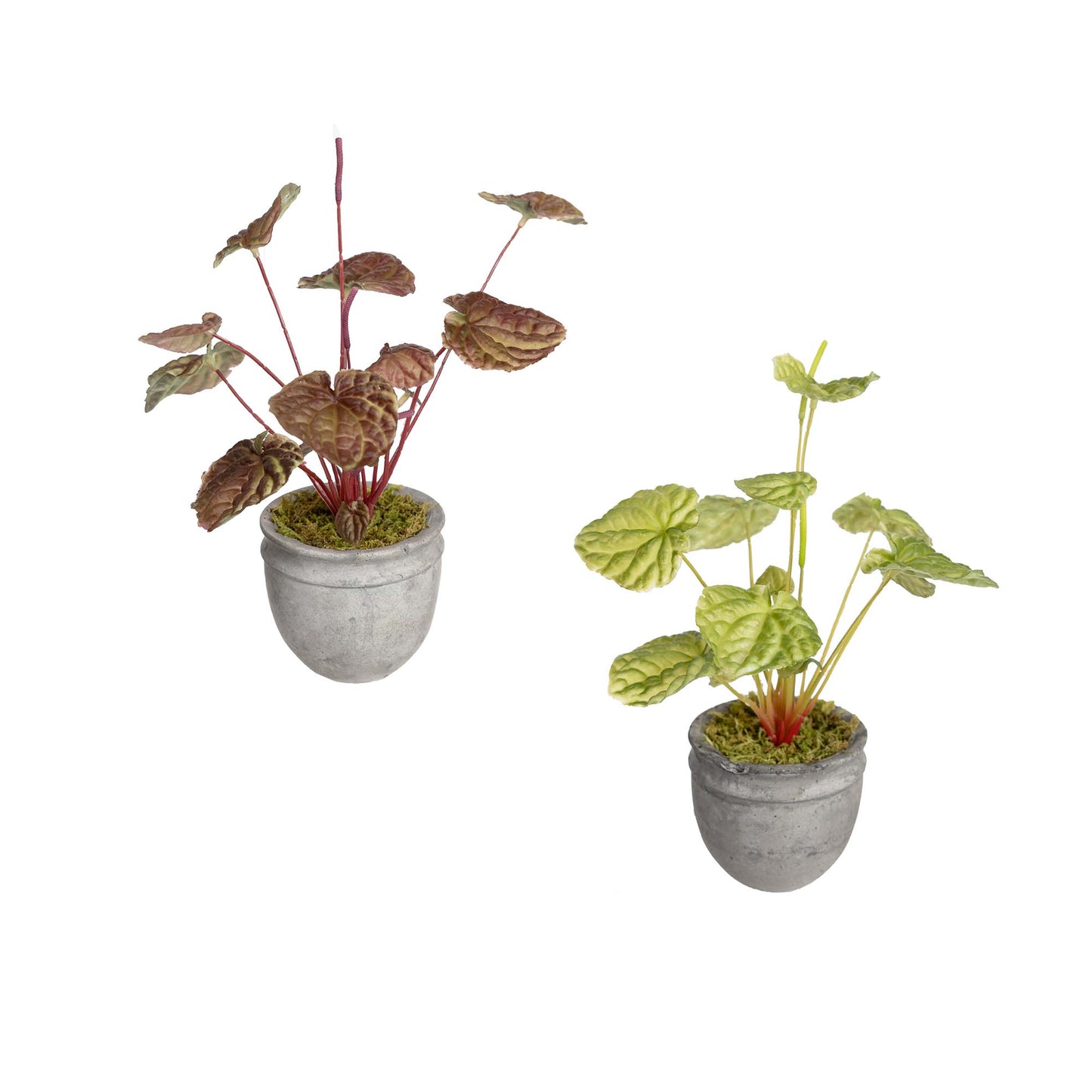 Glamorous Fusion Begonia Bush in Pot - Artificial Flower Arrangements and Artificial Plants
