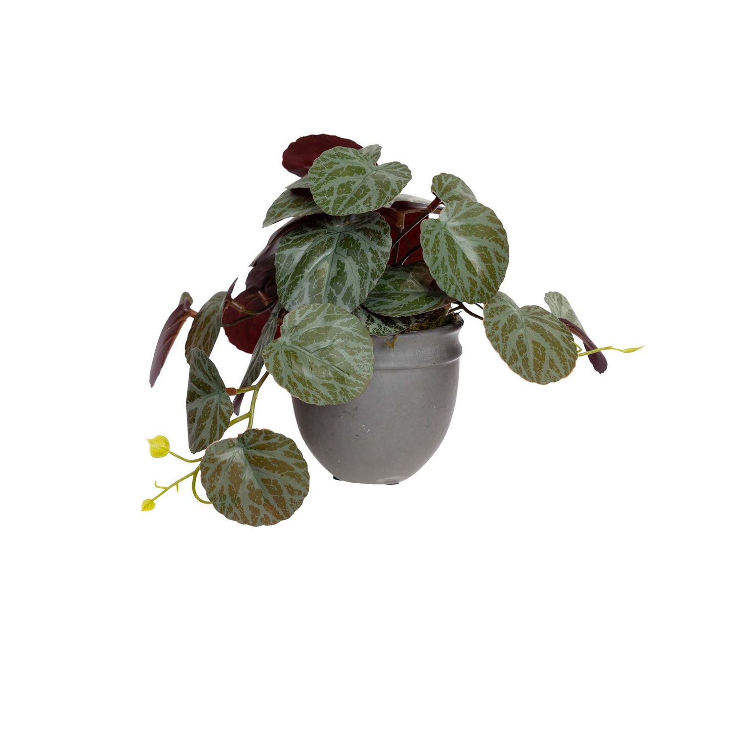 Glamorous Fusion Gerainium Bush in Pot - Artificial Flower Arrangements and Artificial Plants