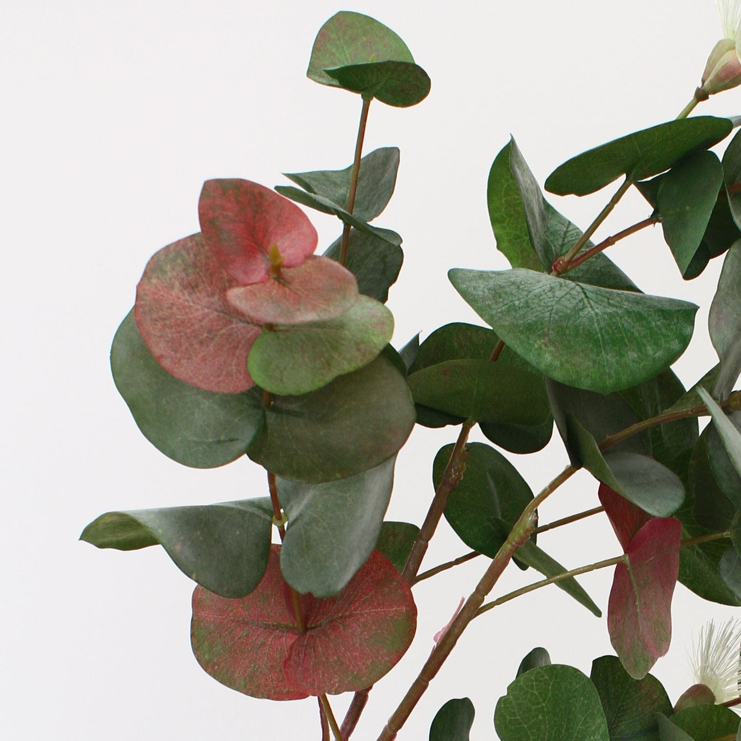 Round Flowers Gum Spray