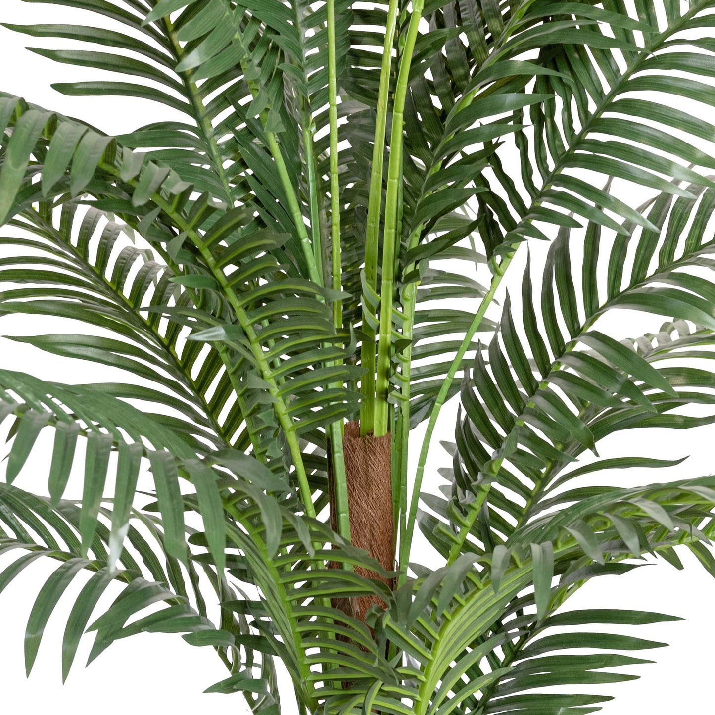 Glamorous Fusion 183cm Phoenix Palm Tree - Artificial Flower Arrangements and Artificial Plants
