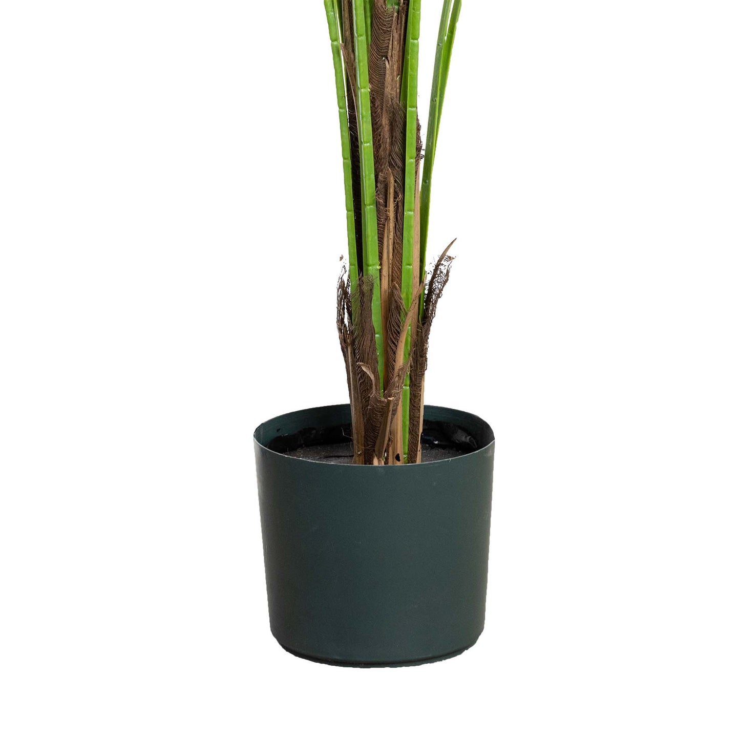 Glamorous Fusion 183cm Phoenix Palm Tree - Artificial Flower Arrangements and Artificial Plants