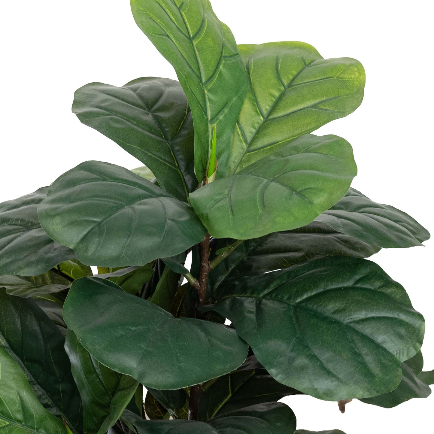 Glamorous Fusion 90cm Fiddle Leaf Plant- Artificial Flower Arrangements and Artificial Plants