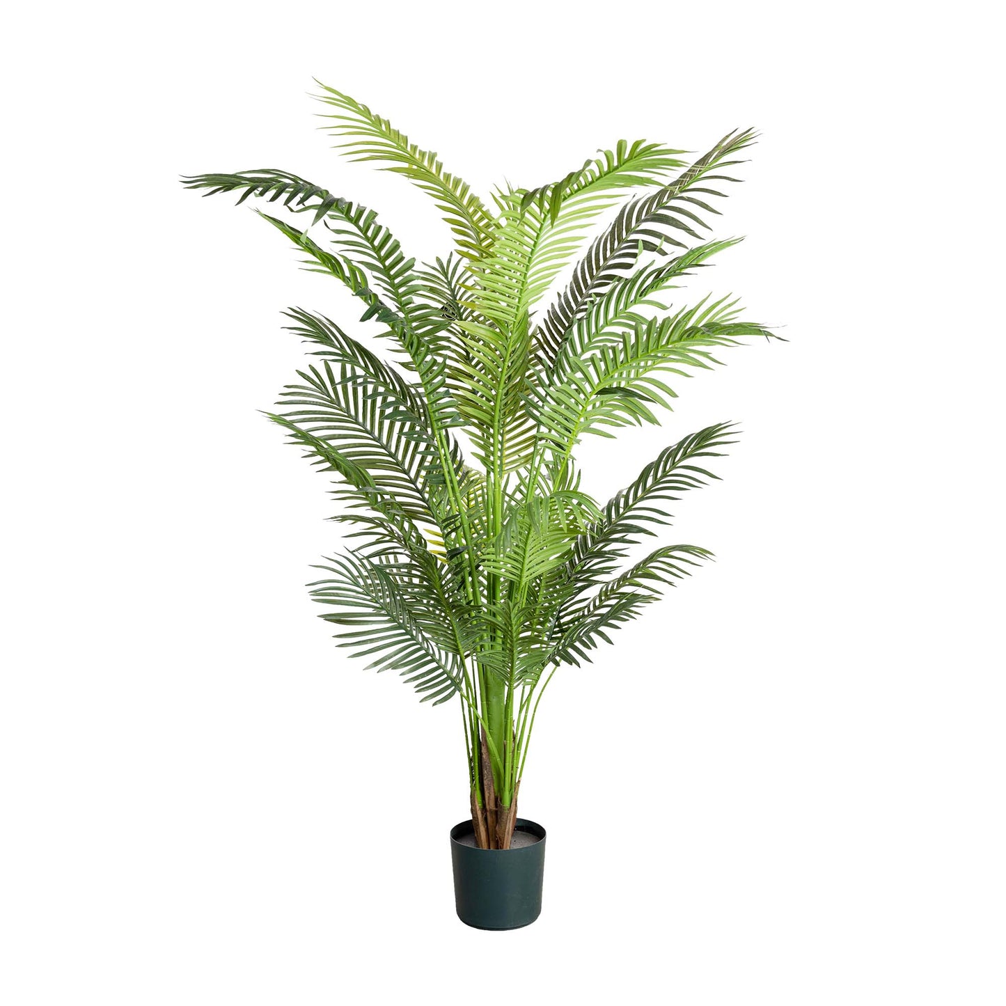 Glamorous Fusion 183cm Areca Palm Tree - Artificial Flower Arrangements and Artificial Plants