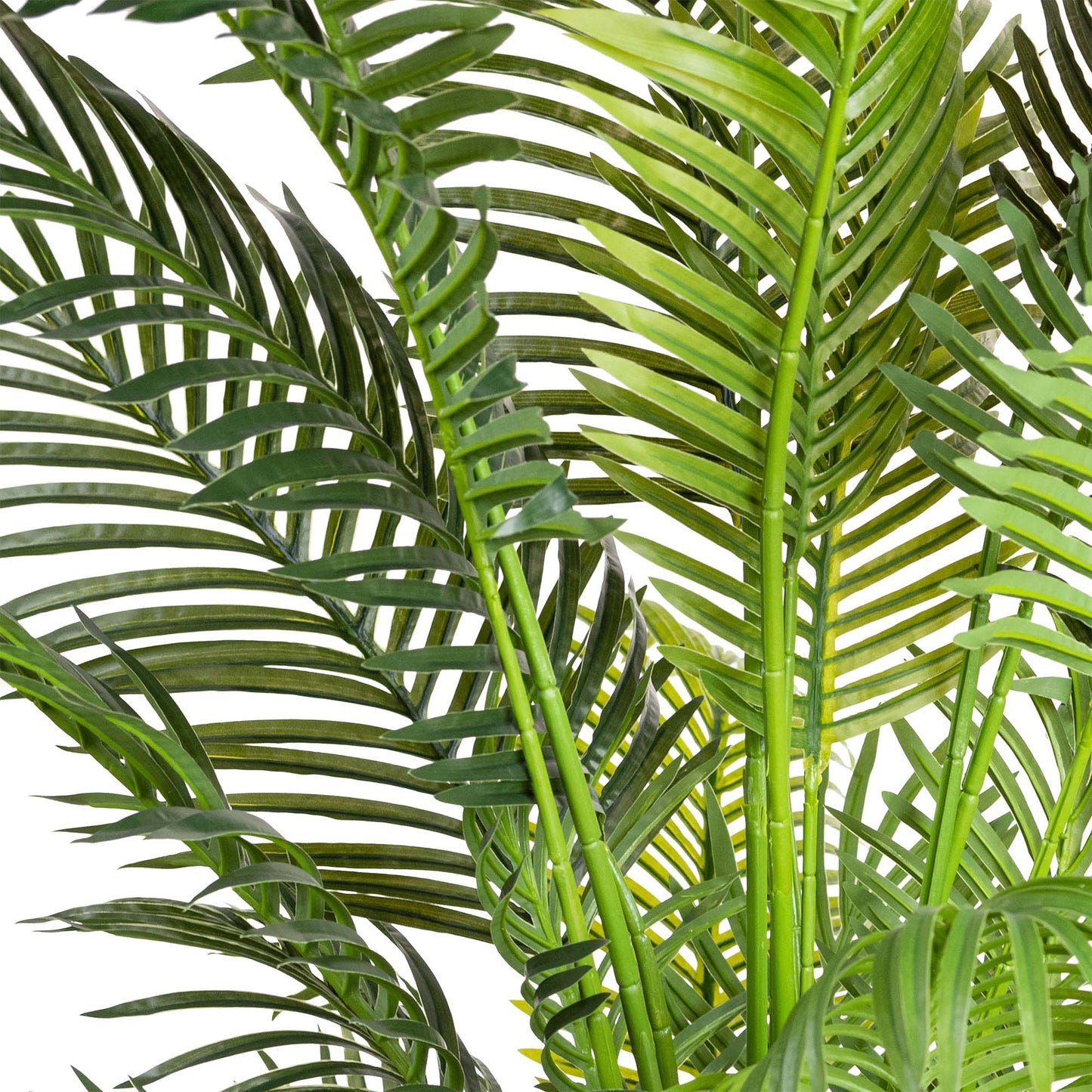 Glamorous Fusion 183cm Areca Palm Tree - Artificial Flower Arrangements and Artificial Plants