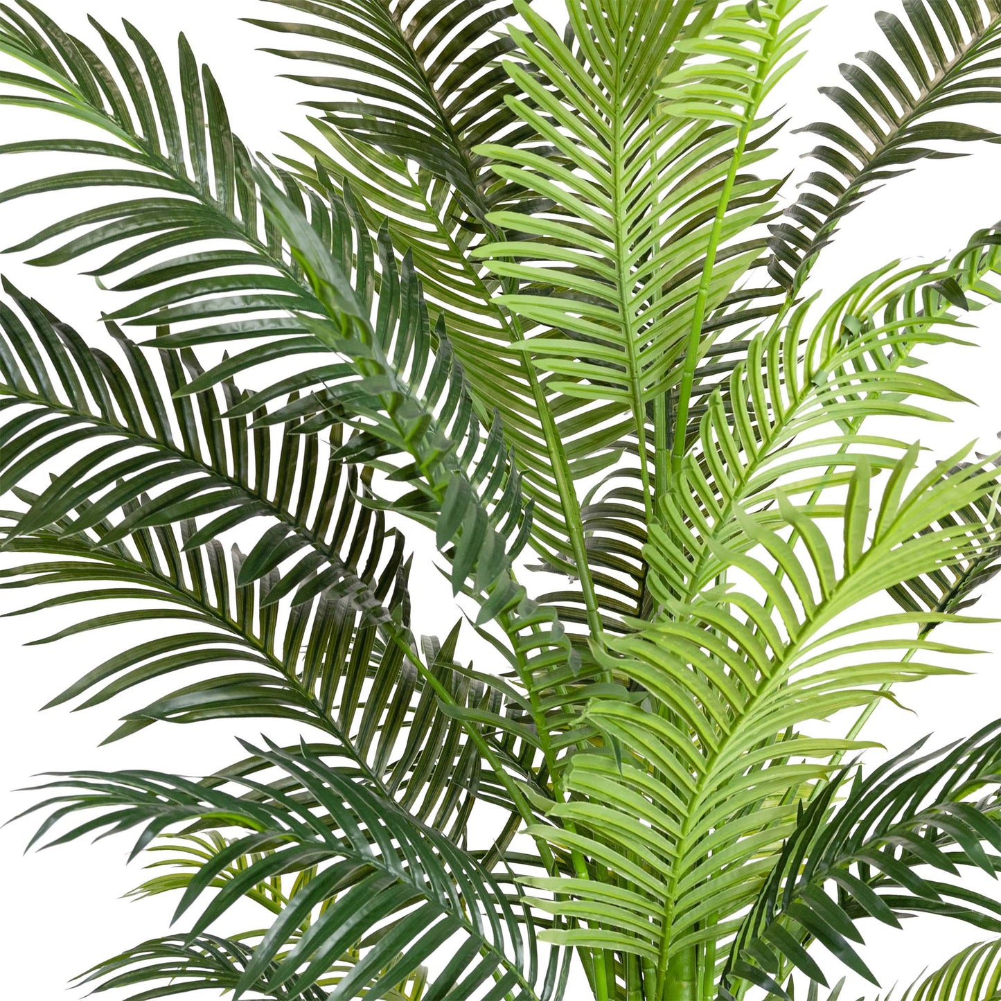 Glamorous Fusion 213cm Areca Palm Tree- Artificial Flower Arrangements and Artificial Plants