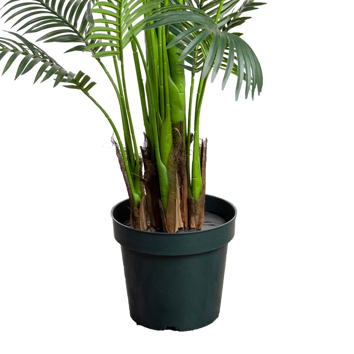 Glamorous Fusion 213cm Areca Palm Tree- Artificial Flower Arrangements and Artificial Plants
