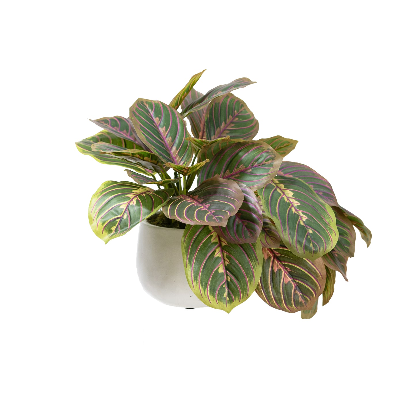 Glamorous Fusion Peacock Bush in Pot - Artificial Flower Arrangements and Artificial Plants