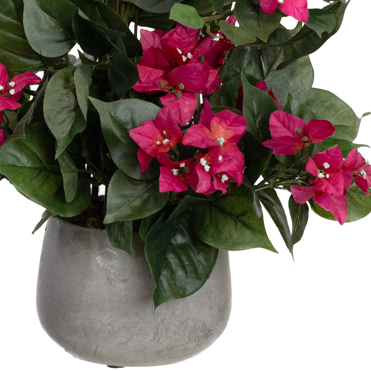 Glamorous Fusion 62cm Climbing Bougainvillea on Pole - Artificial Flower Arrangements and Artificial Plants