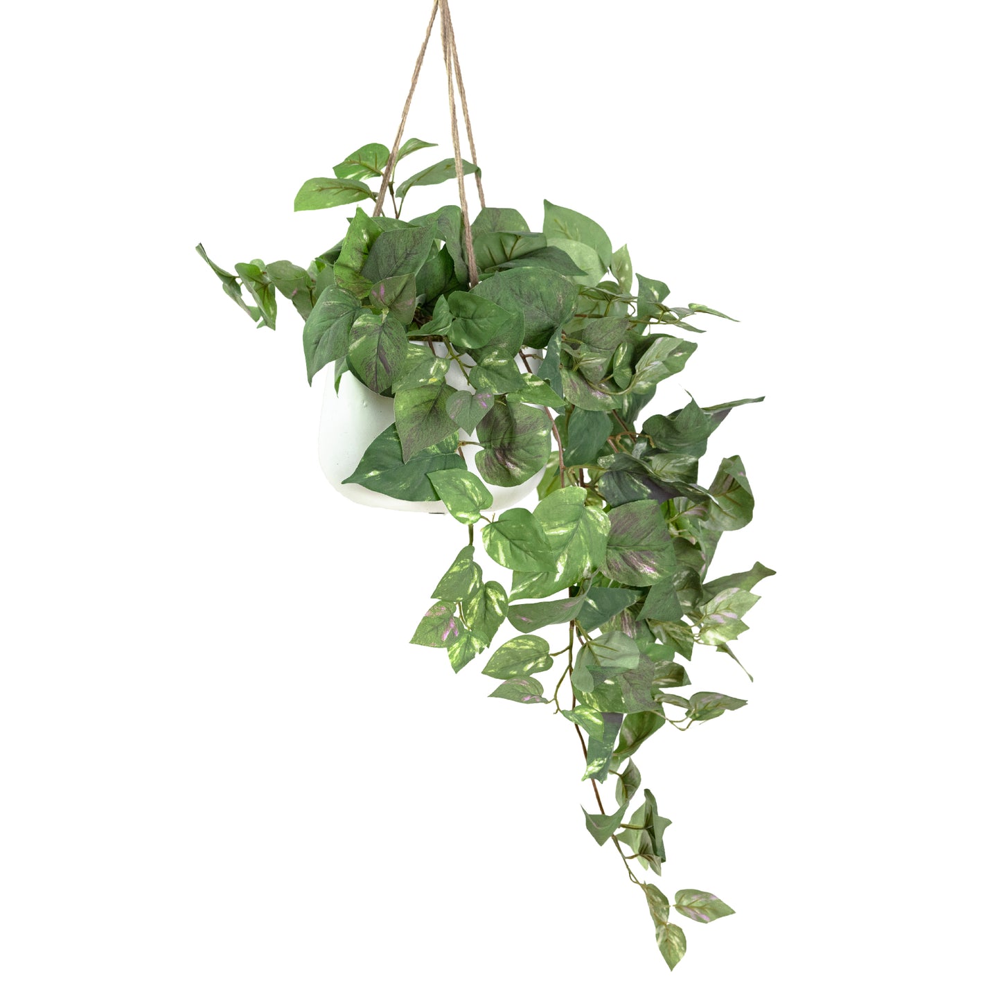 Glamorous Fusion Pothos in Hanging Pot - Artificial Flower Arrangements and Artificial Plants