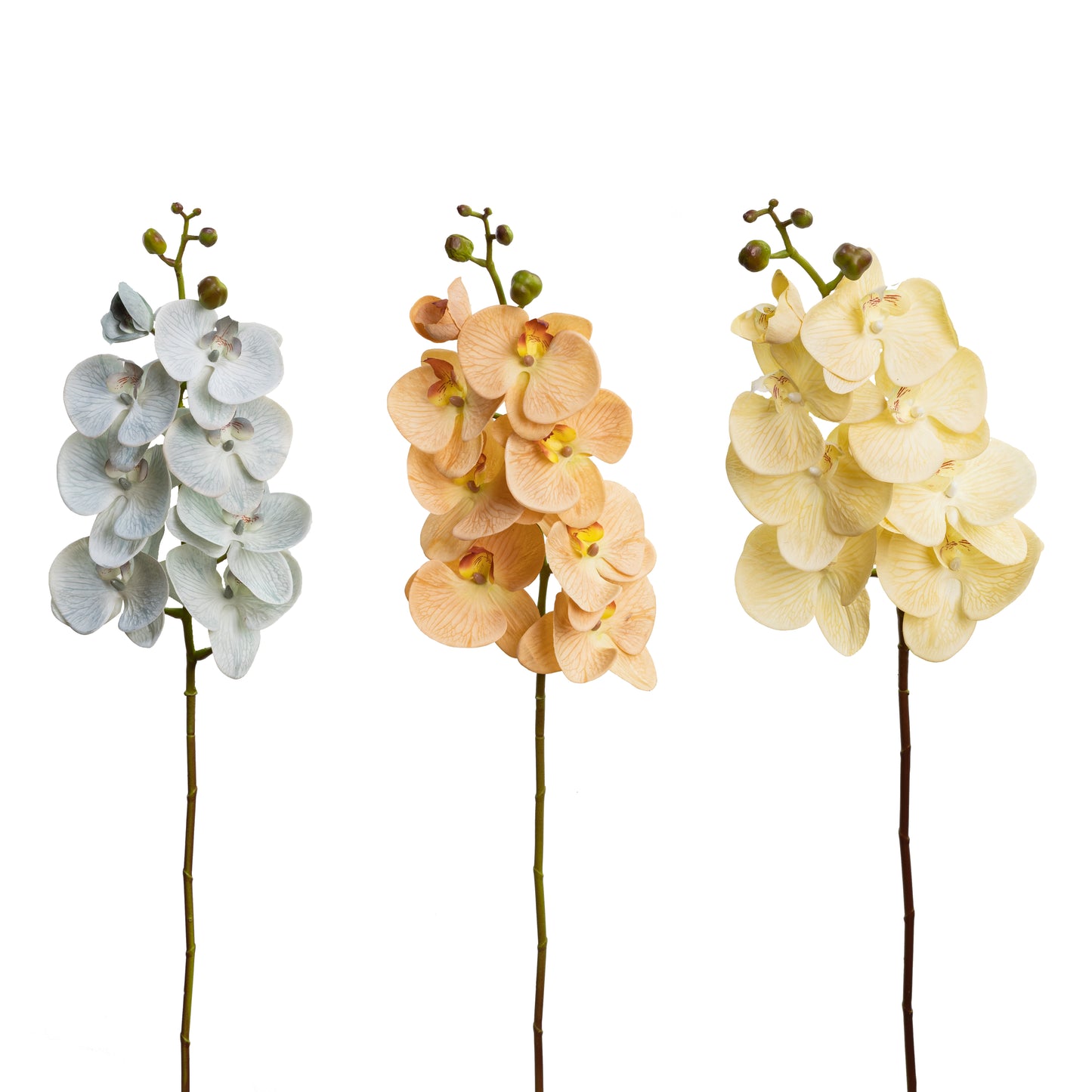 101cm Artificial Real Touch Phalaenopsis Orchid on Stem Toffee