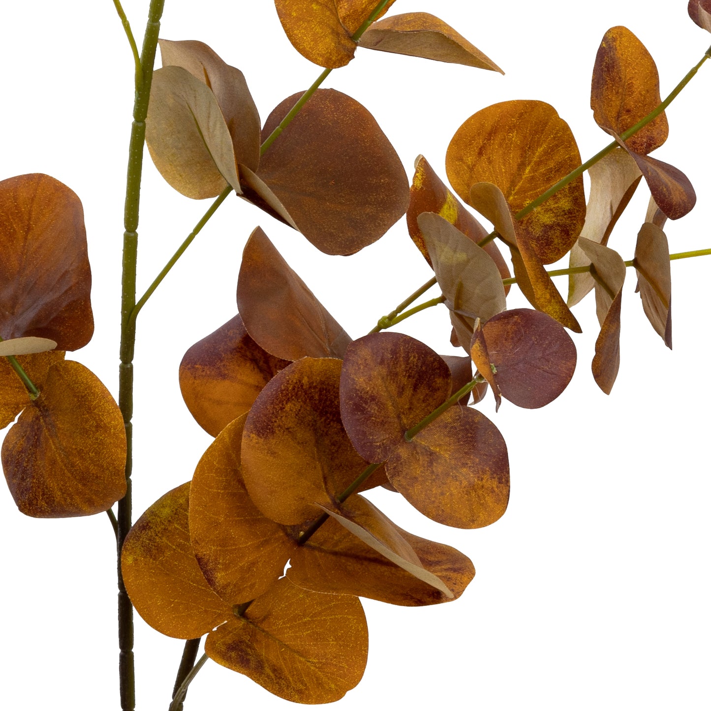 Eucalyptus Spray (Flocked)