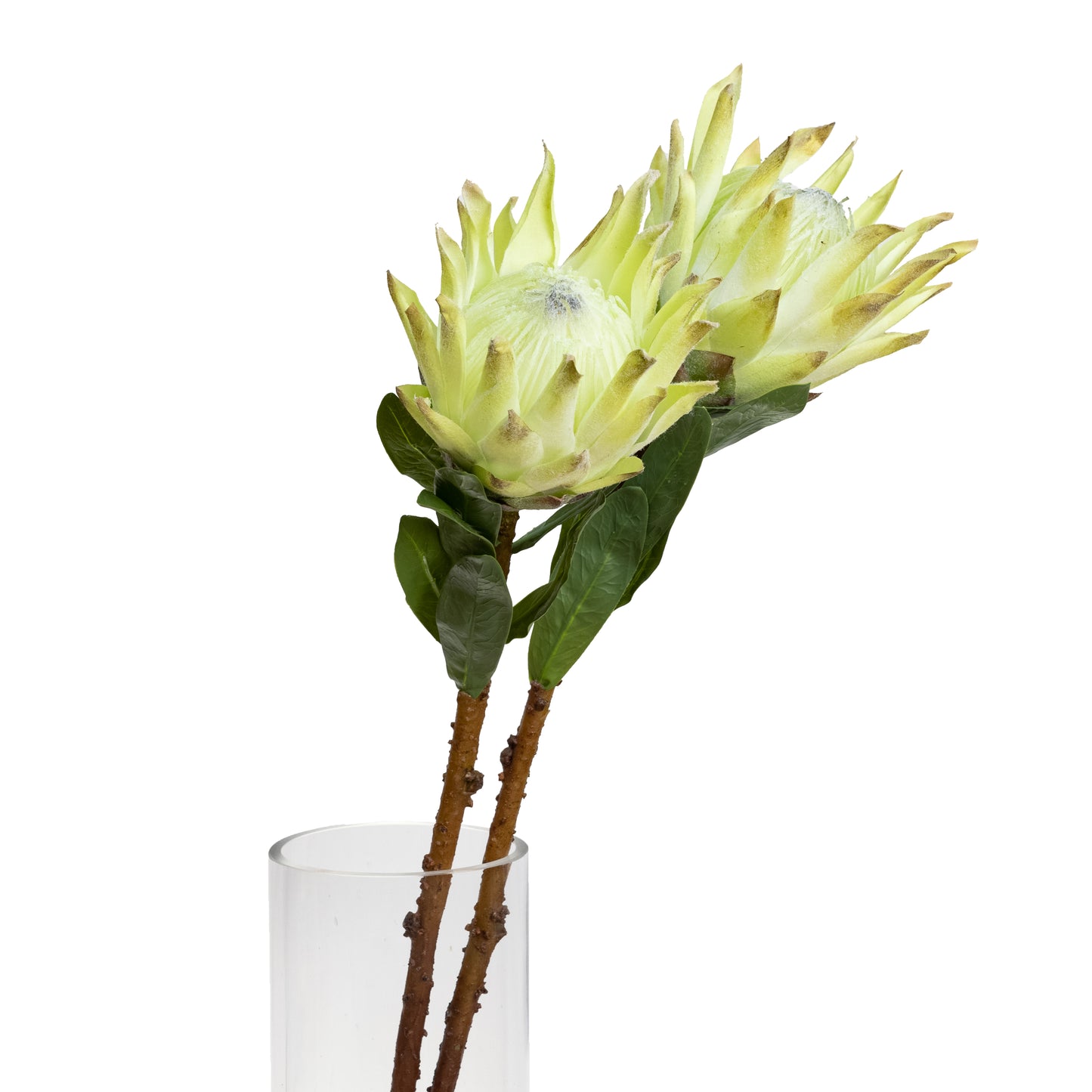 72cm Artificial Queen Protea Green