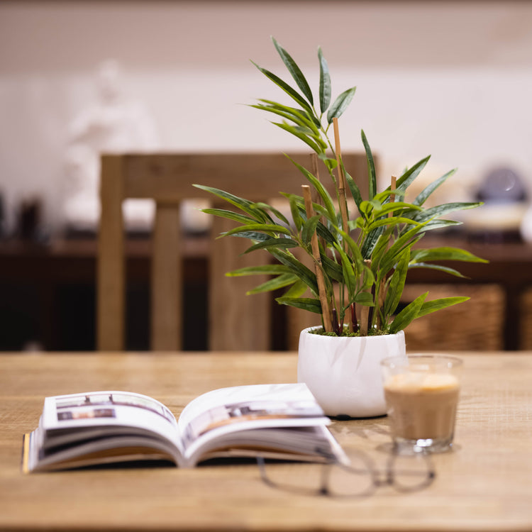 POTTED GREENERY