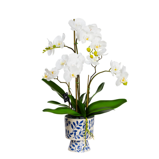 56cm Artificial Orchid in Hampton Vase