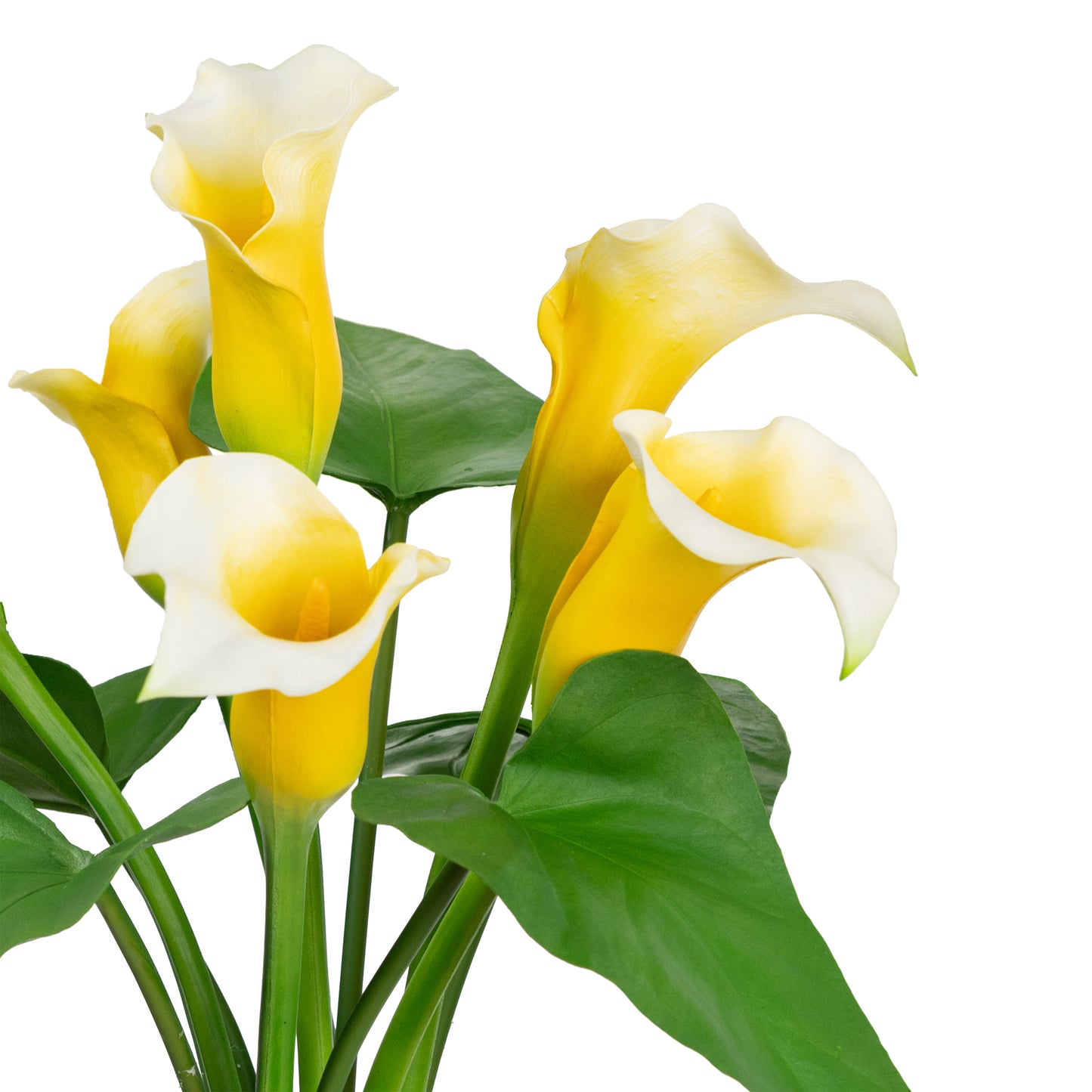 60cm Artificial Calla Lily Arrangement in Glass Yellow