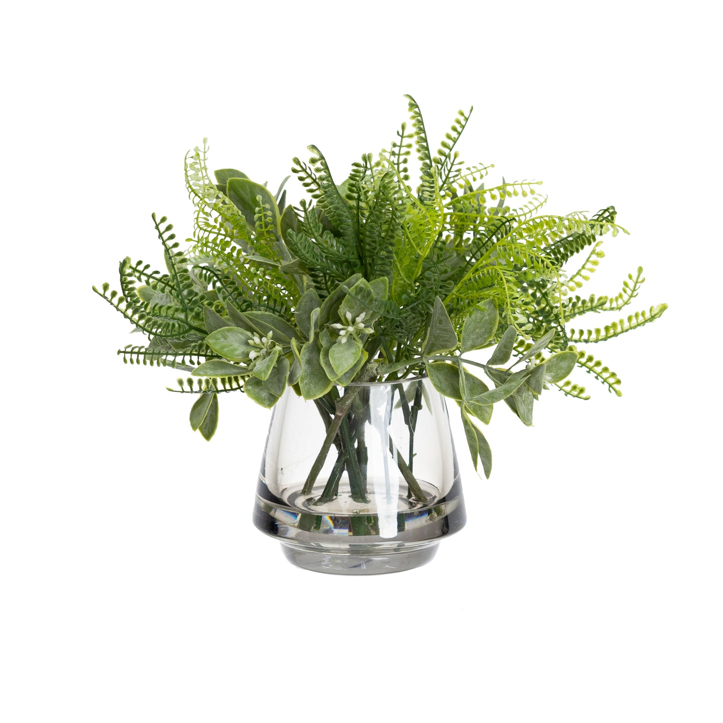 23CM AGLAIA & FERN IN GLASS