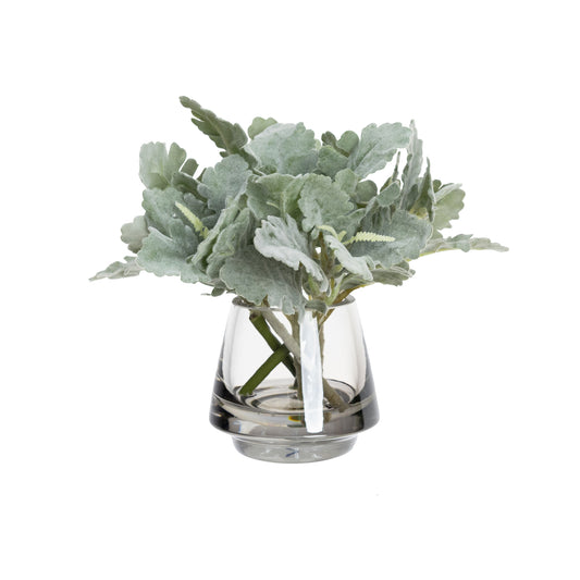 20CM DUSTY MILLER IN GLASS