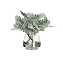 Load image into Gallery viewer, 20CM DUSTY MILLER IN GLASS
