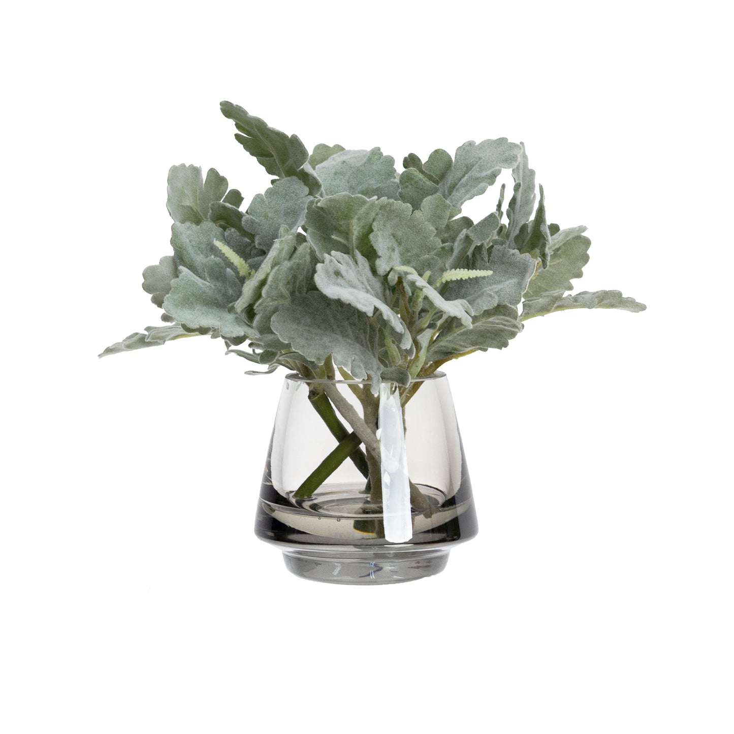 20CM DUSTY MILLER IN GLASS