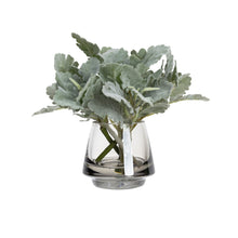 Load image into Gallery viewer, 20CM DUSTY MILLER IN GLASS
