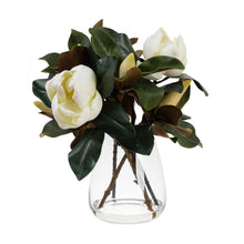 Load image into Gallery viewer, 48CM MAGONLIA MIXED ARRANGEMENT IN GLASS
