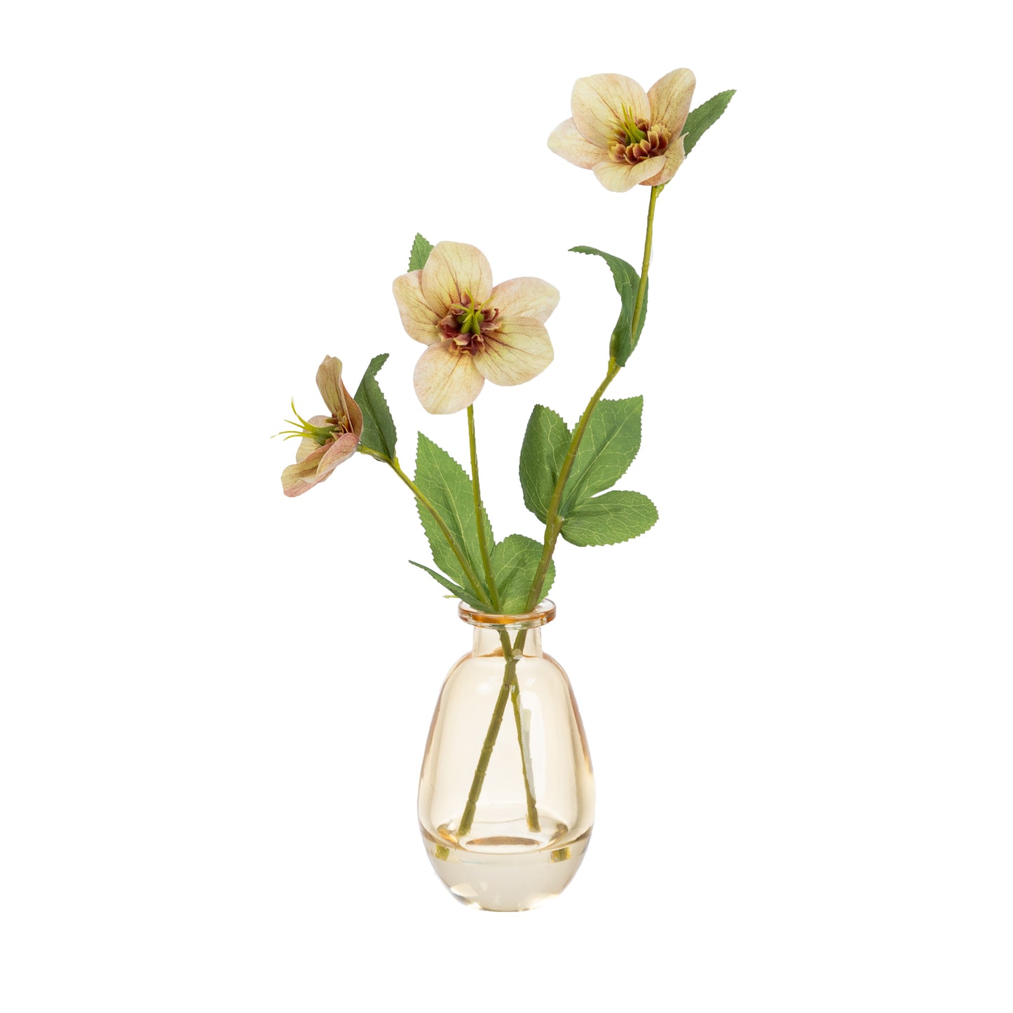 Glamorous Fusion 33cm Helleborus Spray in Glass Vase - Artificial Flower Arrangements and Artificial Plants