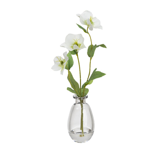 Glamorous Fusion 33cm Helleborus Spray in Glass Vase - Artificial Flower Arrangements and Artificial Plants