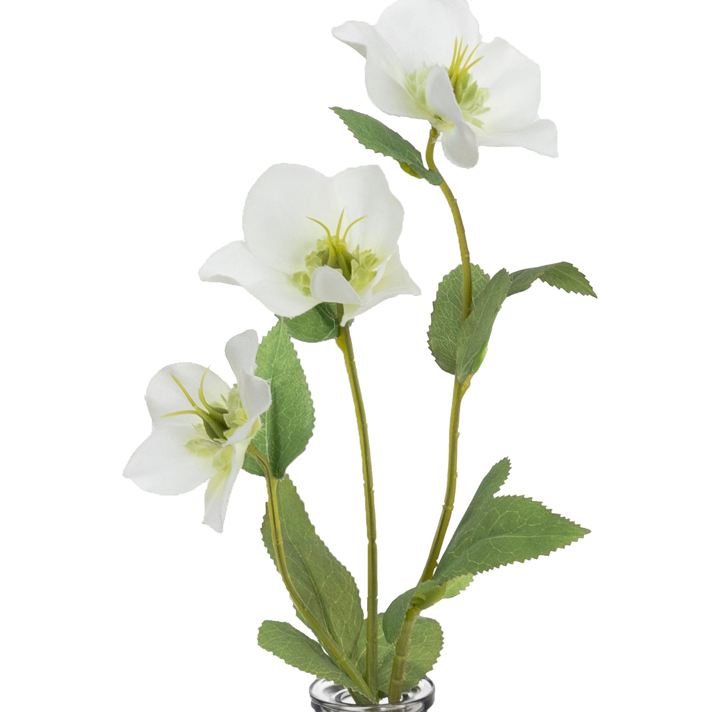 Glamorous Fusion 33cm Helleborus Spray in Glass Vase - Artificial Flower Arrangements and Artificial Plants