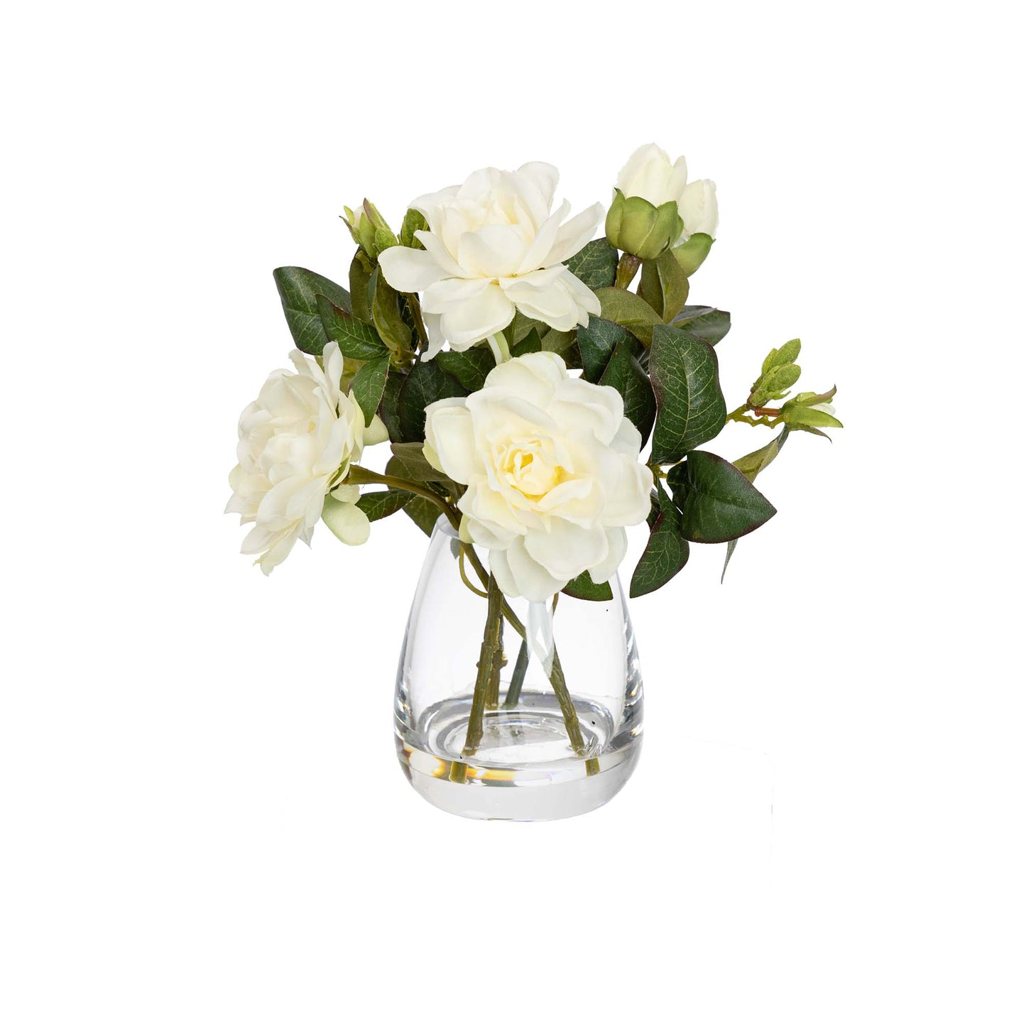 25cm Rose Arrangement in Glass White