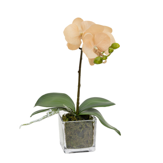 Glamorous Fusion Orchid in Square Glass - Artificial Flower Arrangements and Artificial Plants