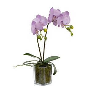 Glamorous Fusion Orchid in Cylinder Glass - Artificial Flower Arrangements and Artificial Plants