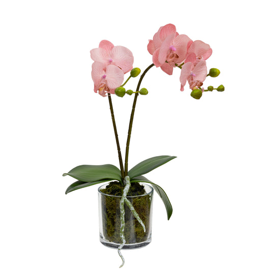 Glamorous Fusion Orchid in Cylinder Glass - Artificial Flower Arrangements and Artificial Plants